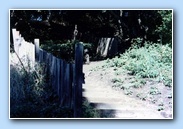 1906 earthquake fence movement